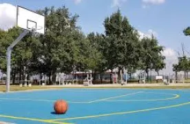 boisko do koszykówki